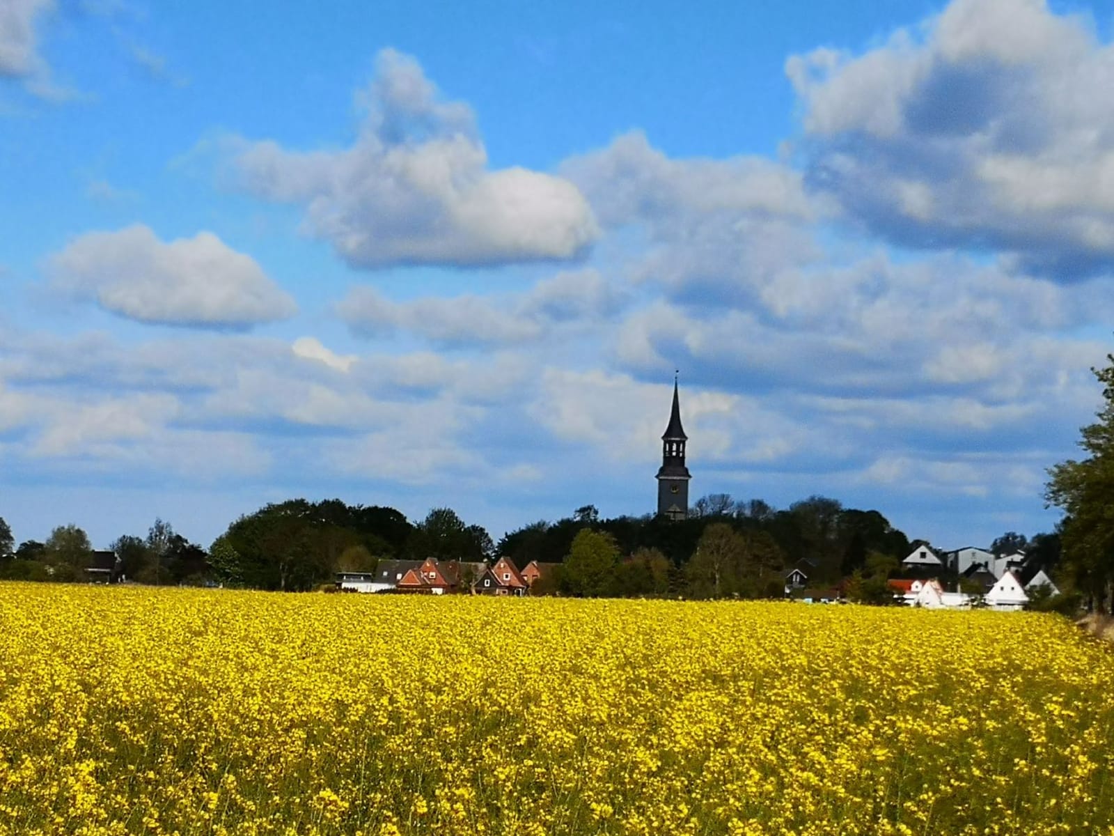 Liebevoll hinterm Deich photo 4