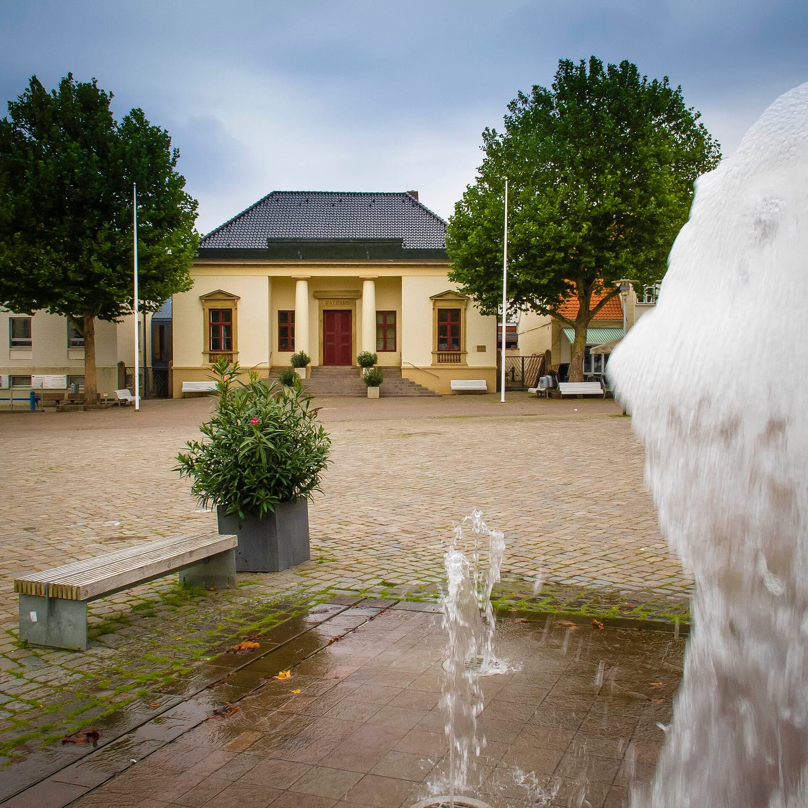 Café Thienemann's photo 3