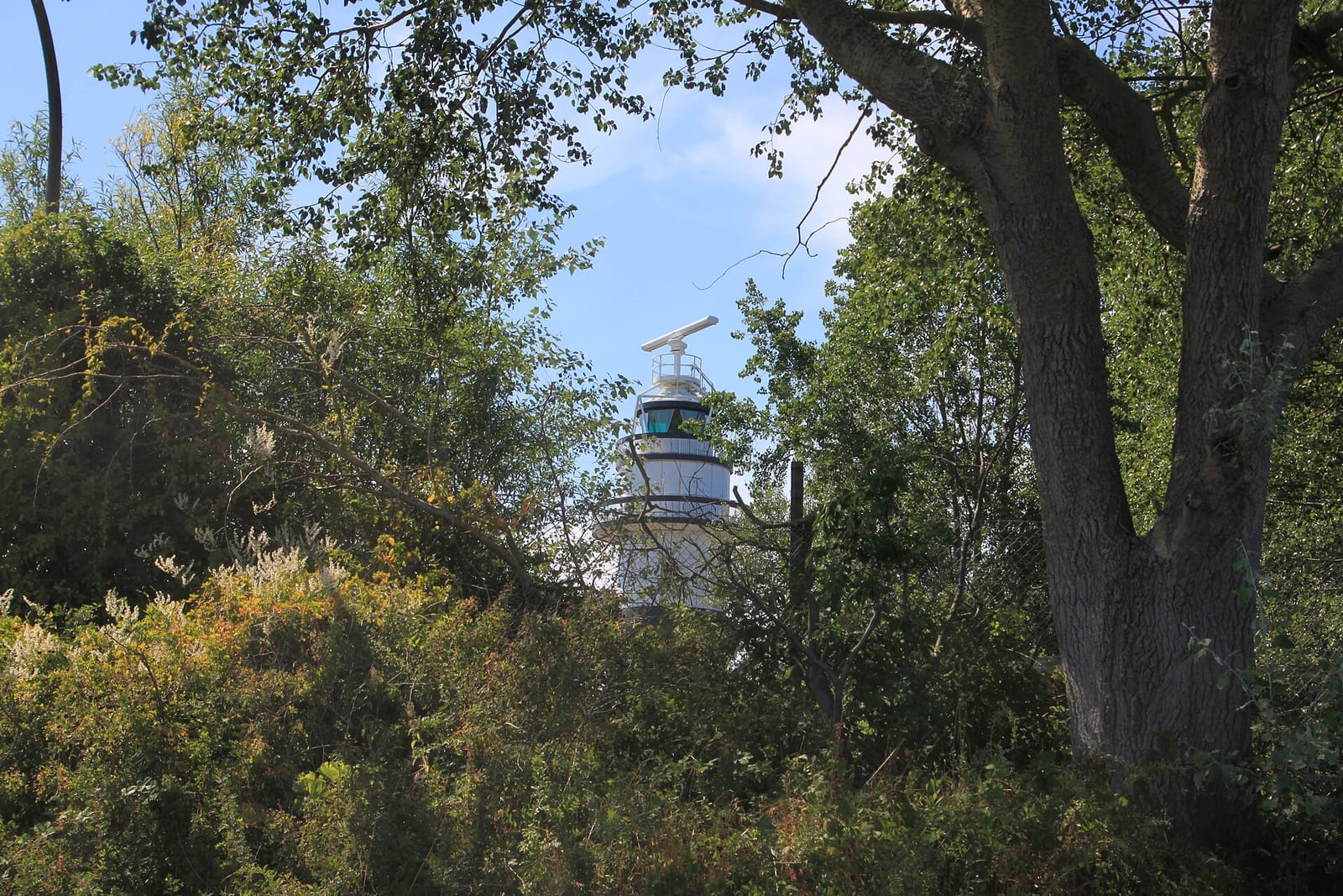 Leuchtturm Pavillon photo 3