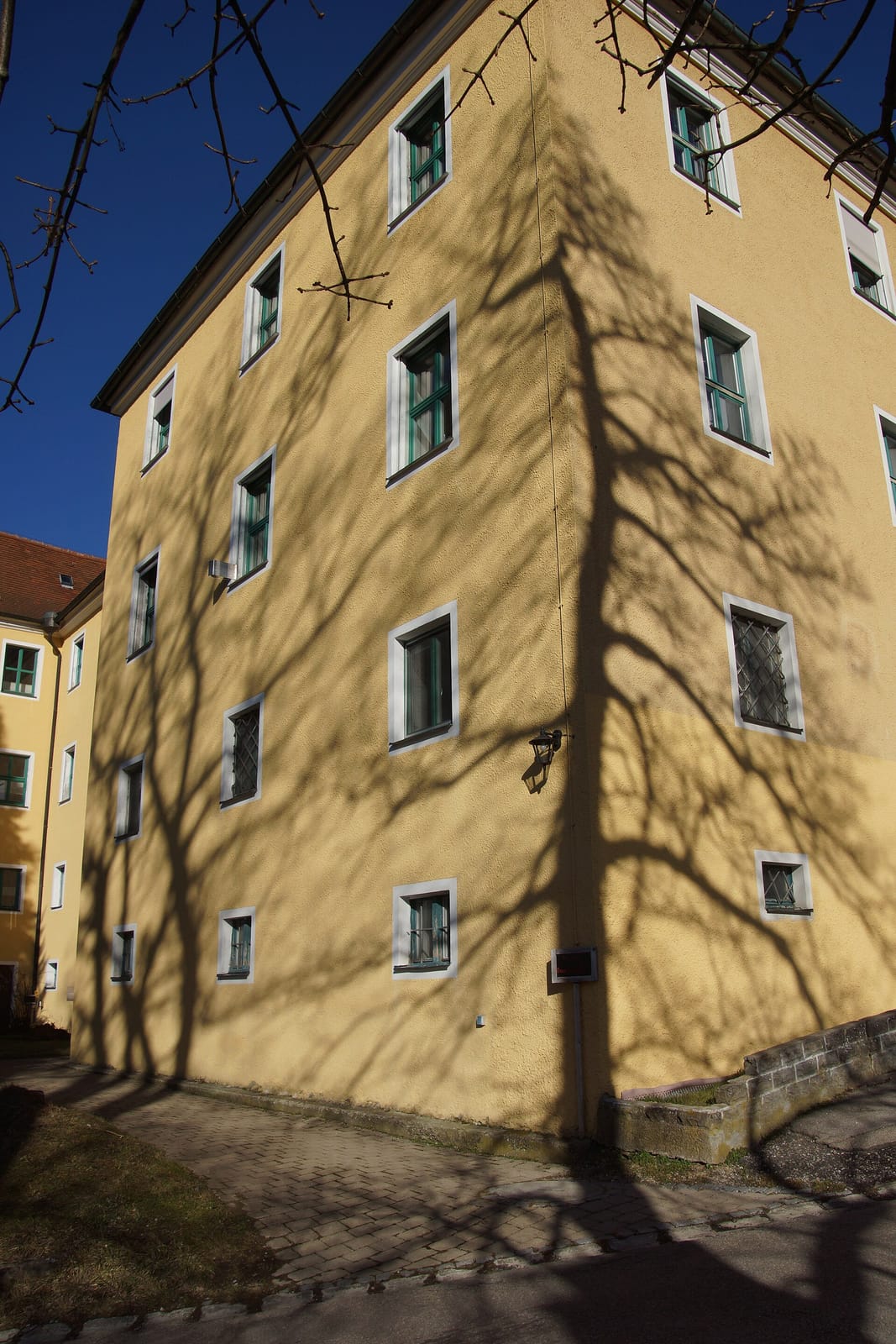 Café Klosterwald photo 3