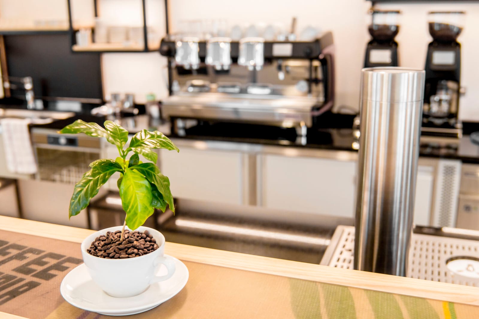 Café Cabresso photo 4