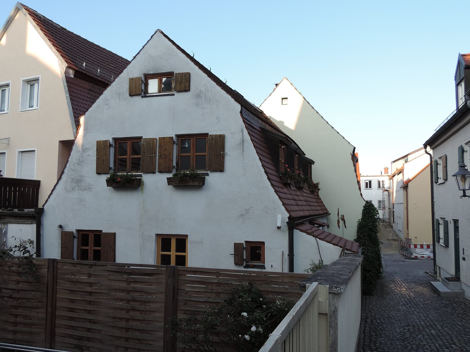Platzhirsch photo 2