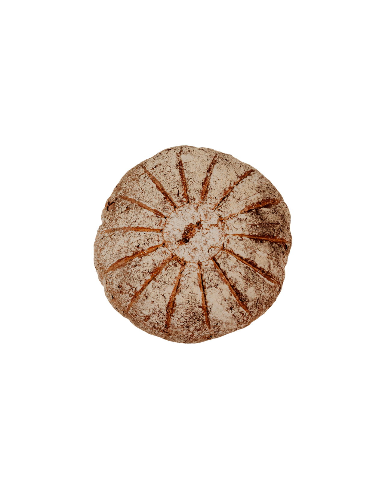 Kratzer Brot photo 5