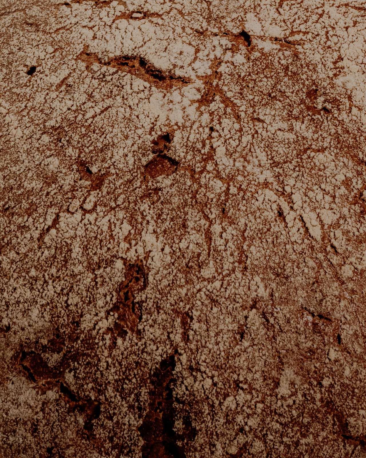 Kratzer Brot photo 4