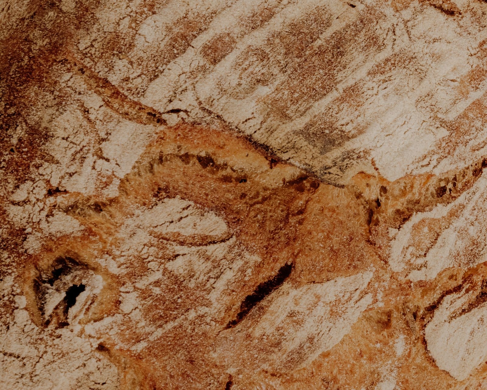 Kratzer Brot