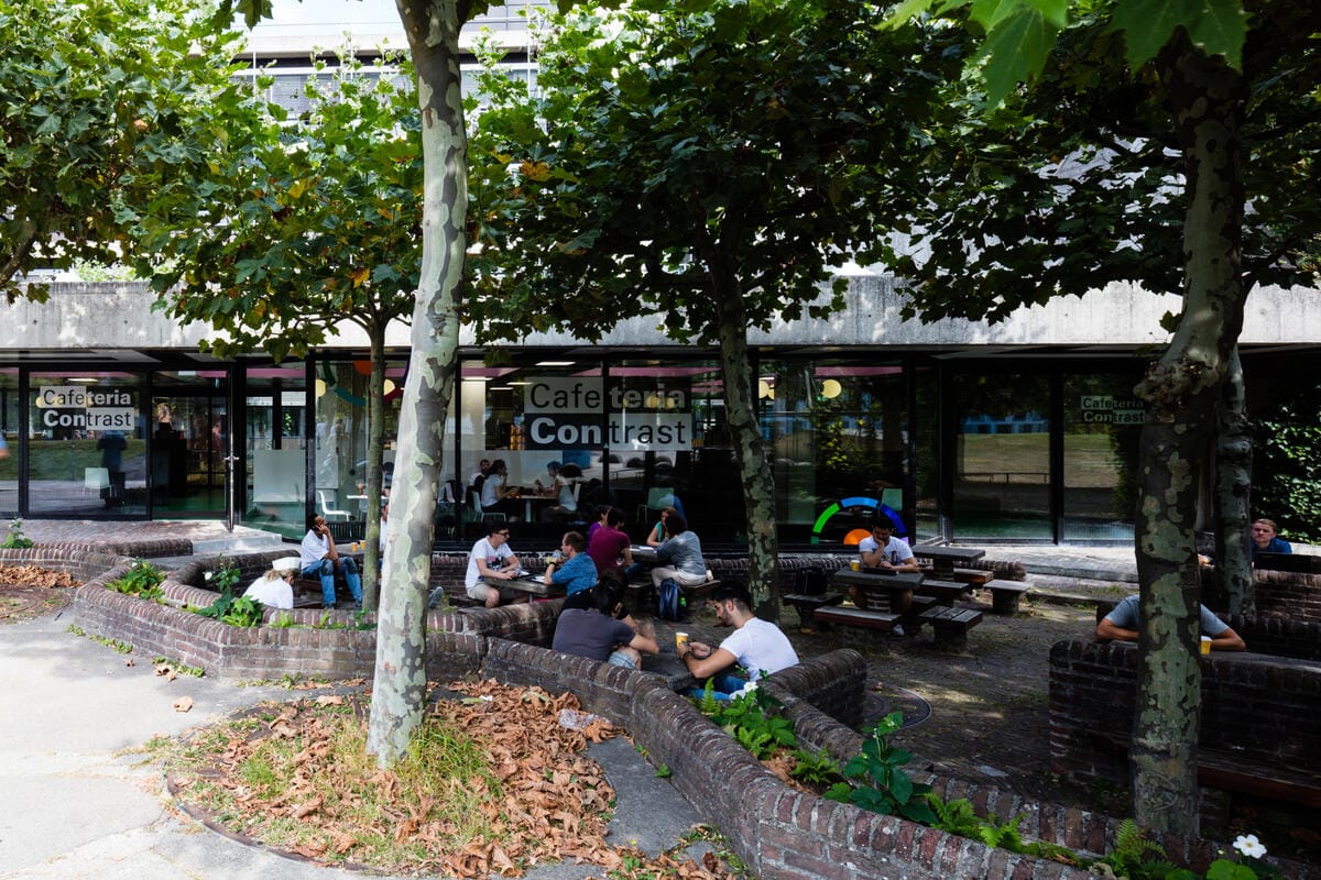 Cafeteria Contrast