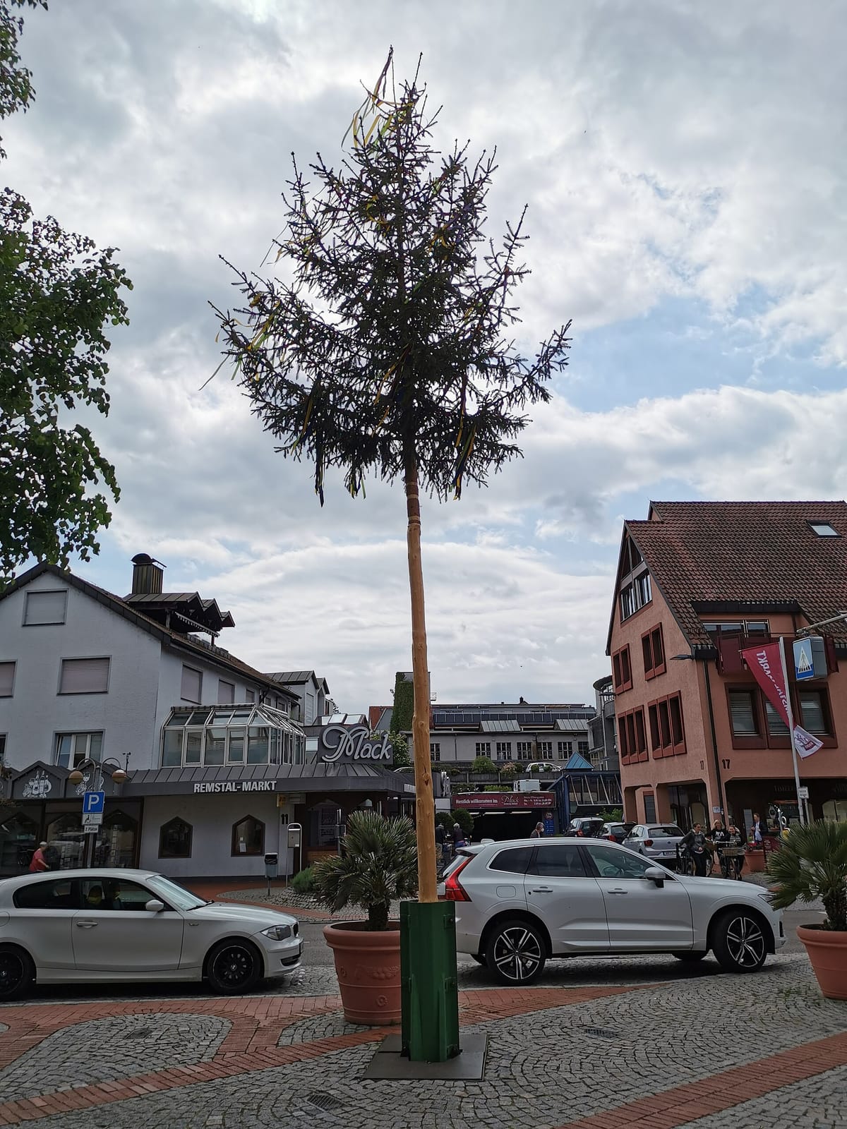 Café Mildenberger photo 3