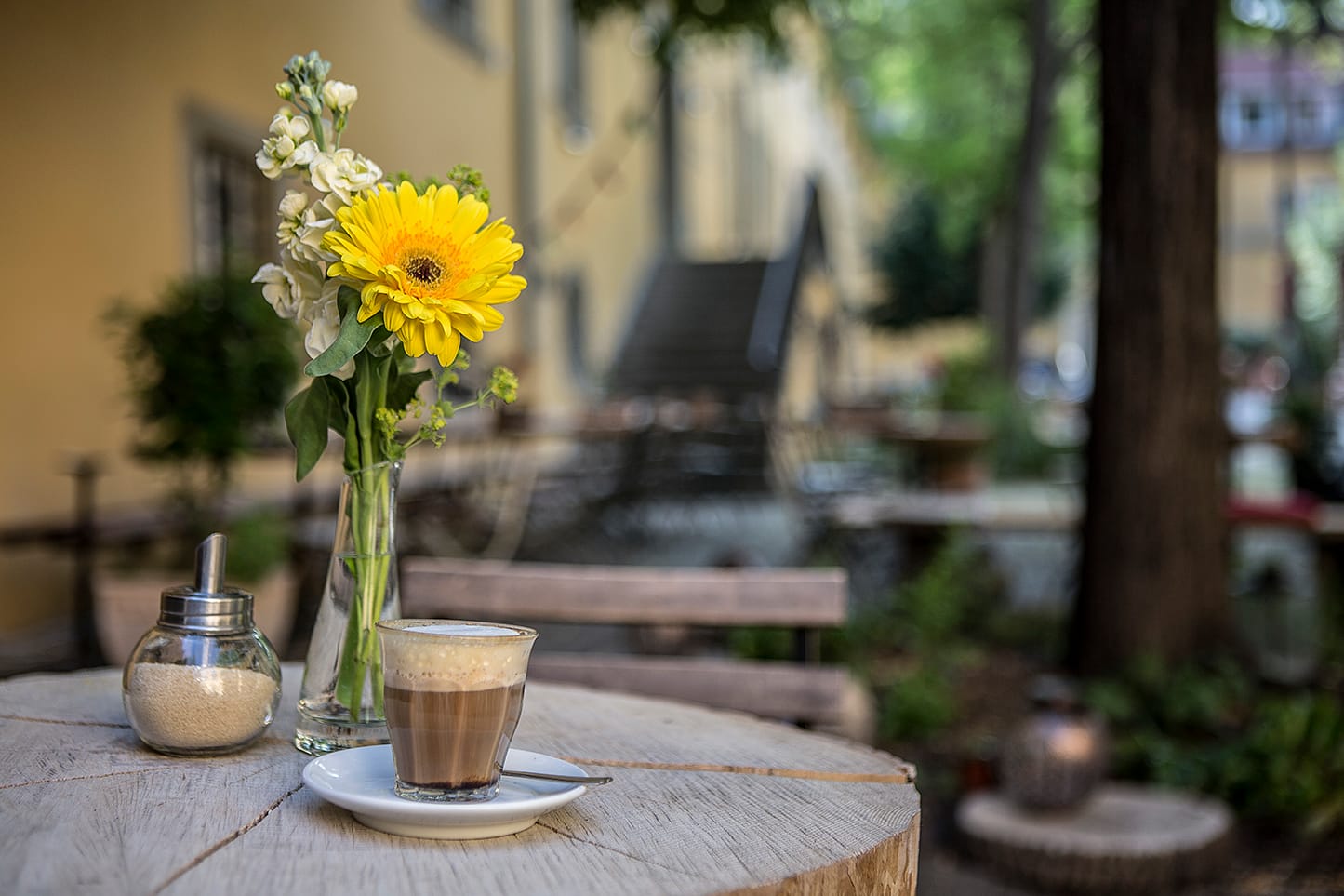 WeltCafé photo 2