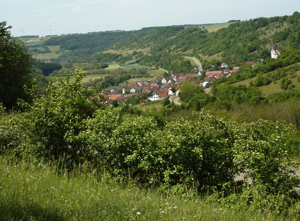 Altes Amtshaus photo 6