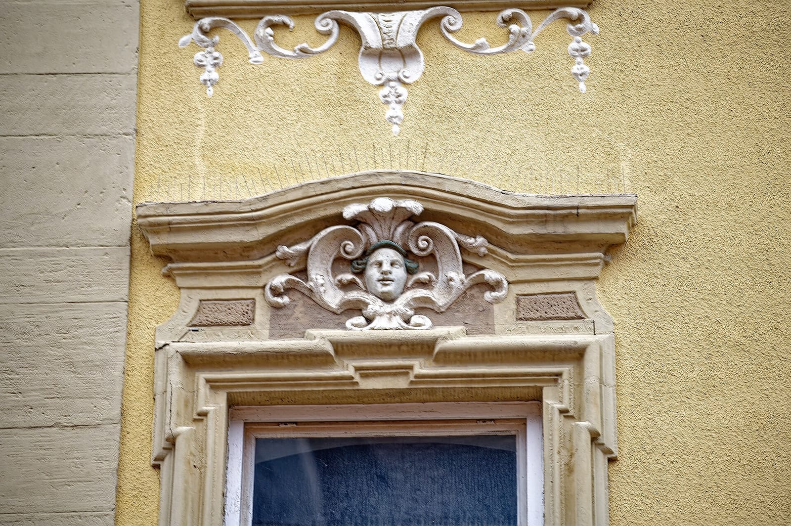 Café Alma photo 4