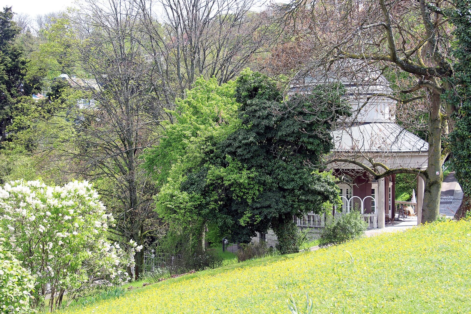 Teehaus im Weißenburgpark