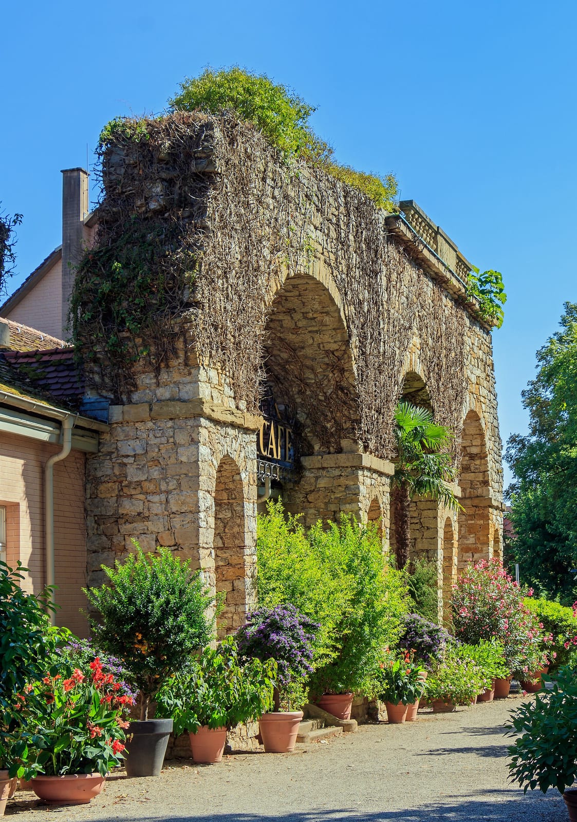 Restaurant Parkcafé im Blühenden Barock Ludwigsburg photo 9