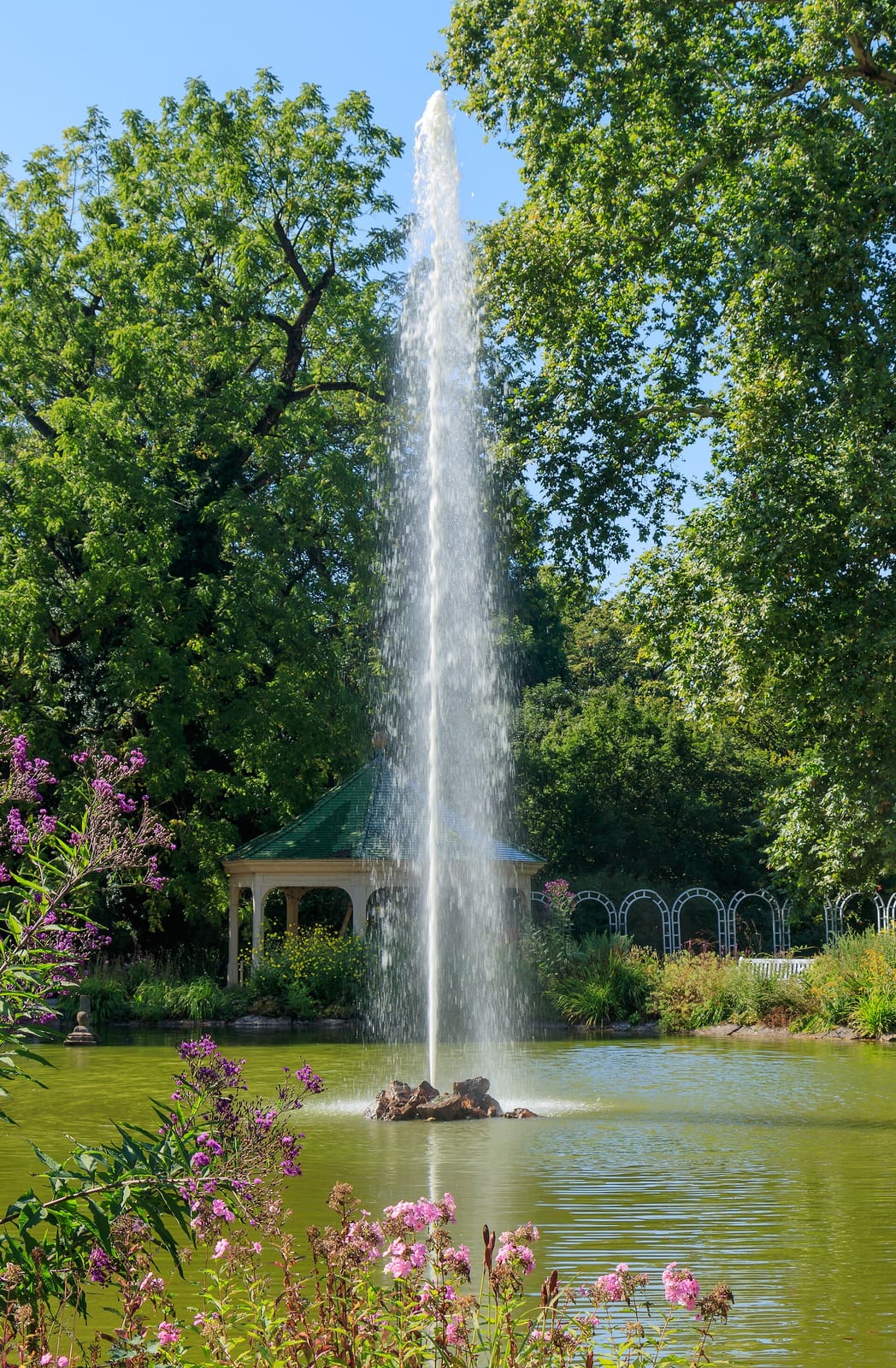 Restaurant Parkcafé im Blühenden Barock Ludwigsburg photo 8