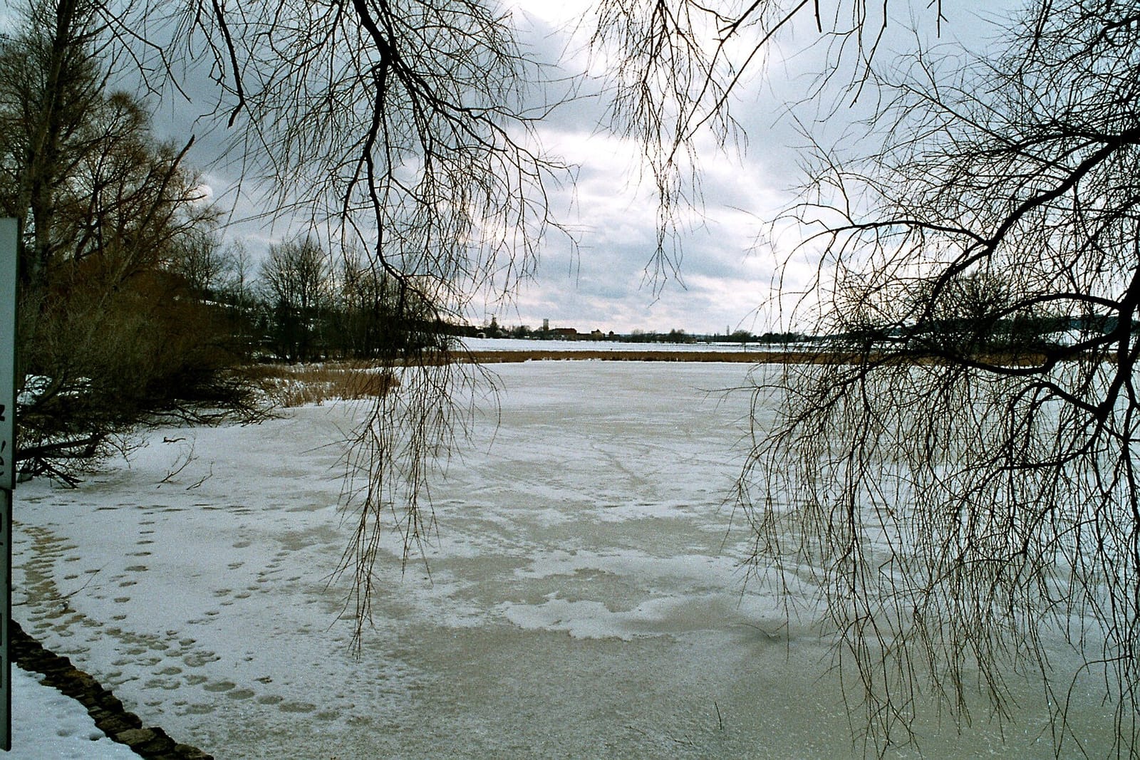 Eiscafé am See photo 2