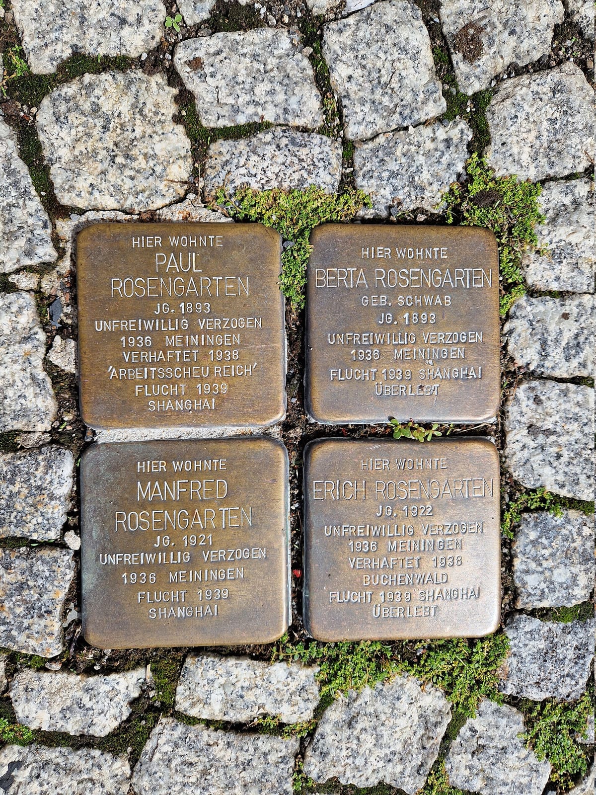 Blaufuß photo 3