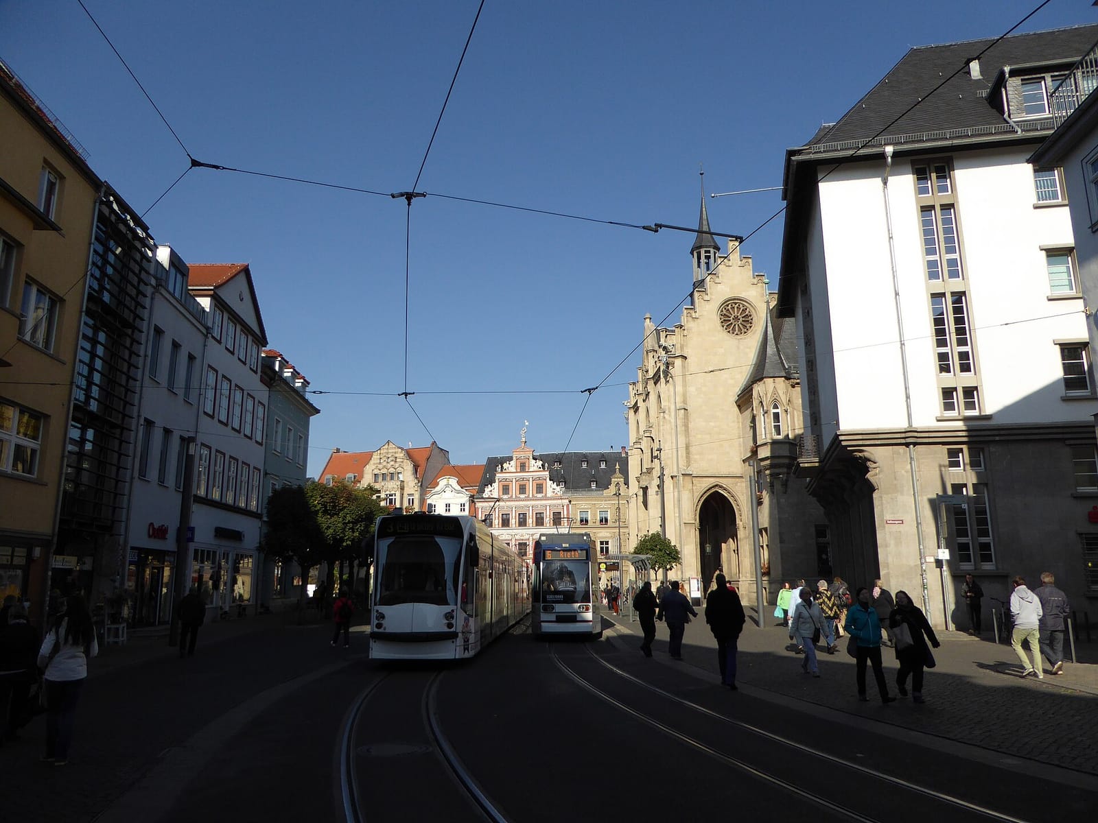 Viba photo 2