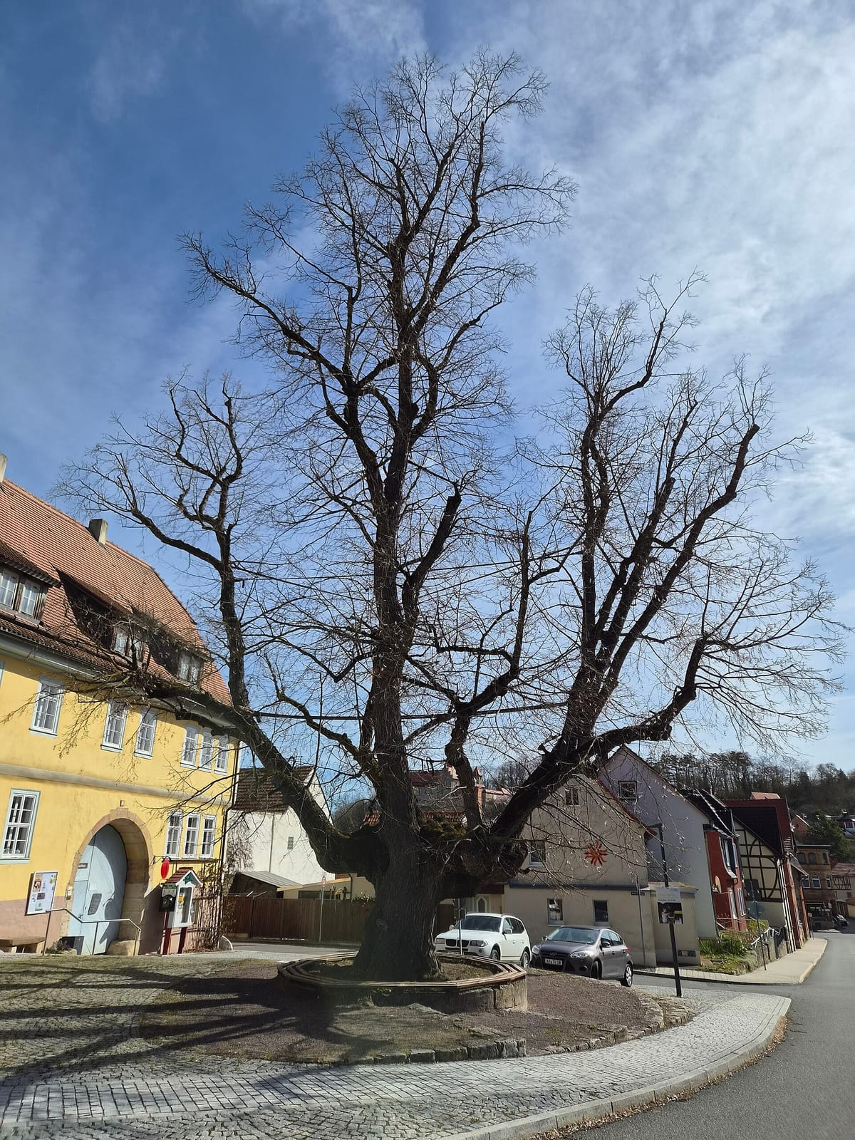 Museumscafe Baumbachhaus