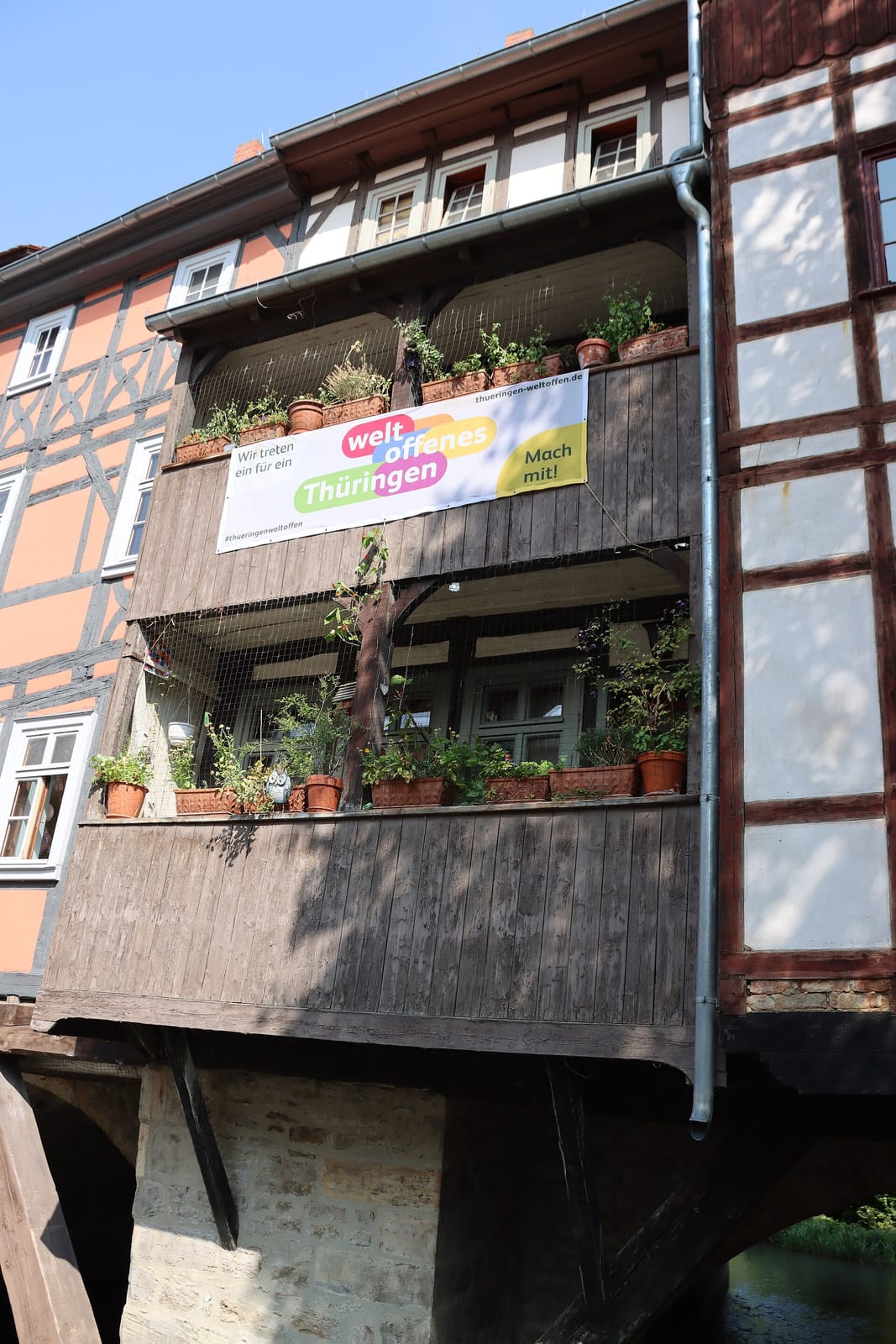 Café Lamm photo 5