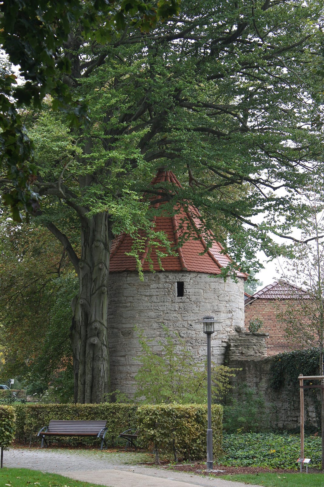 Cafe im Naturgarten des BUND photo 3