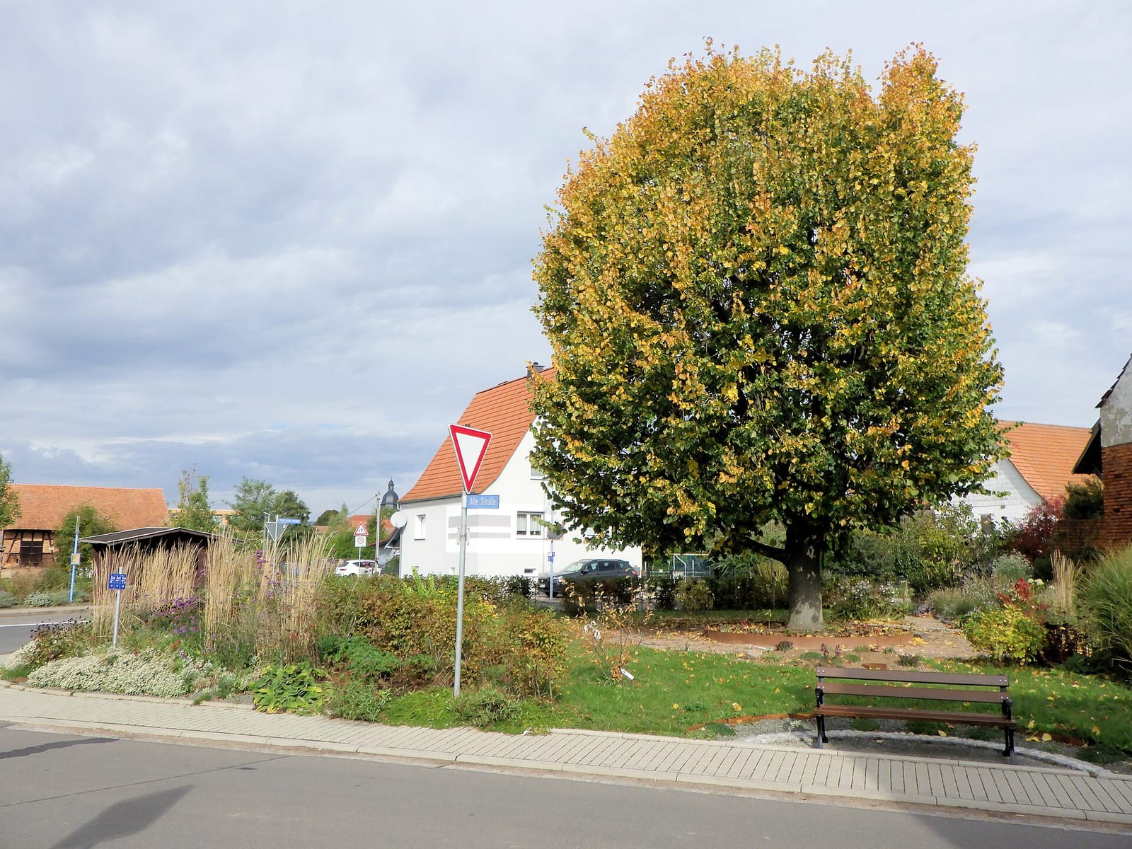 Eiscafe Siegmund photo 4