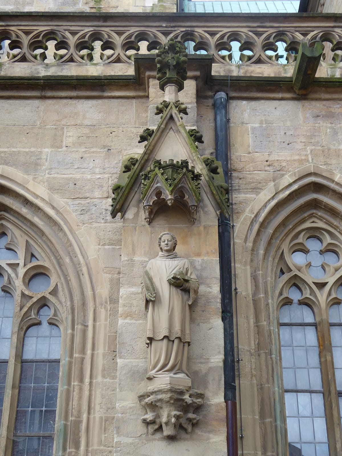 Baumstriezel am Dom