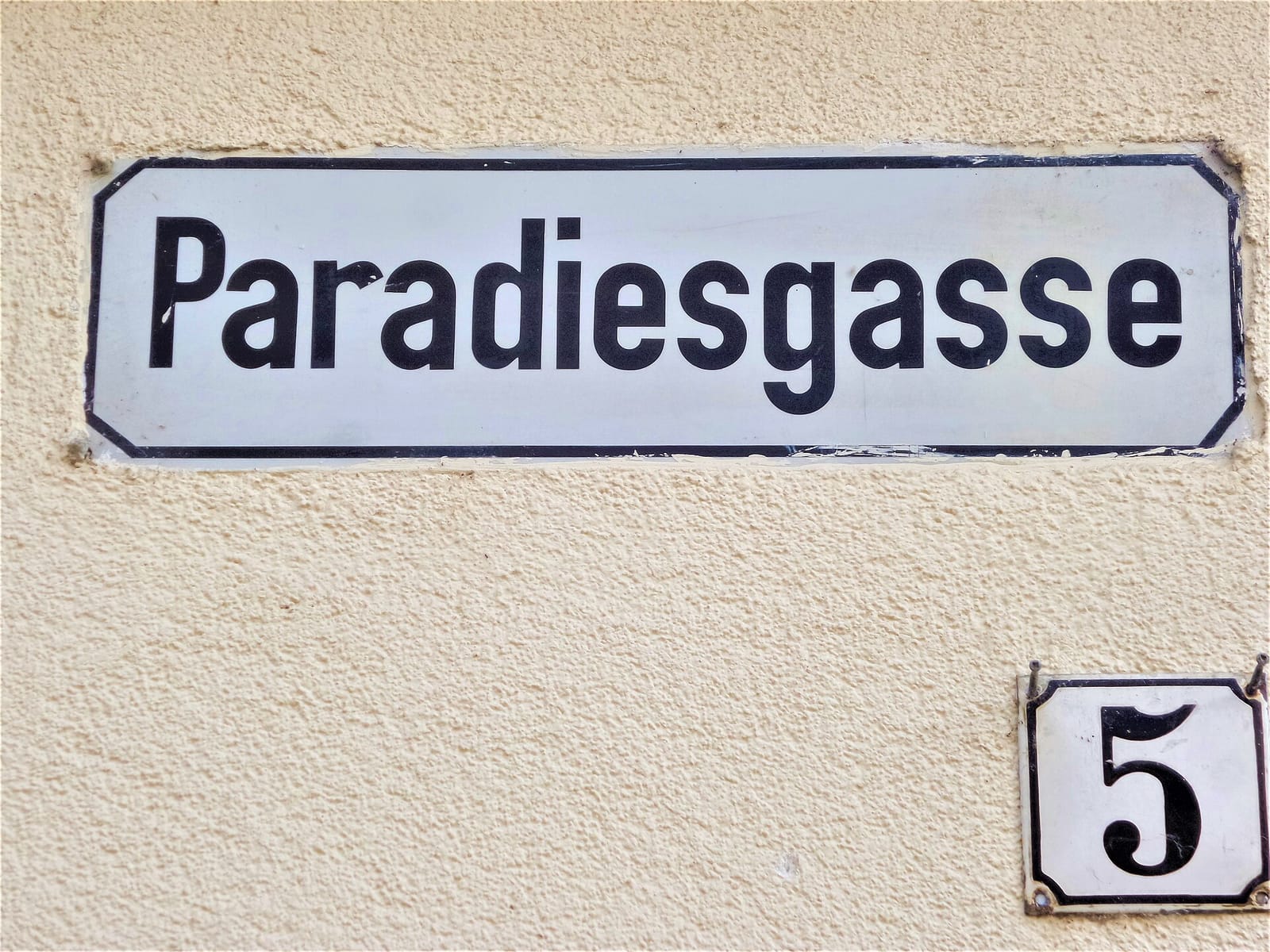 Bossanova photo 2