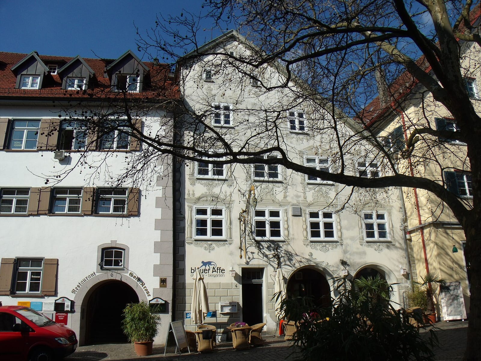 Blauer Affe photo 5