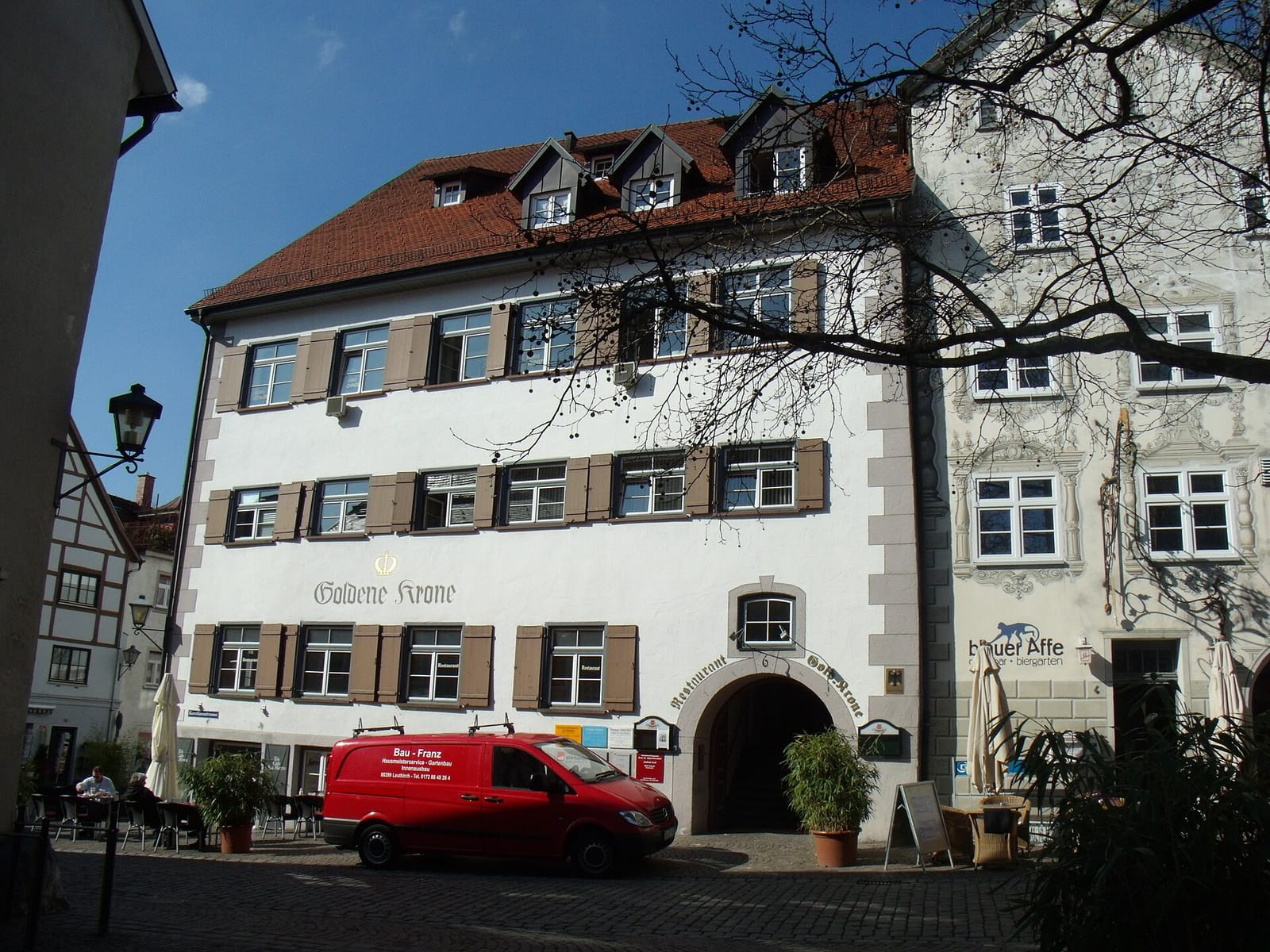 Blauer Affe photo 4