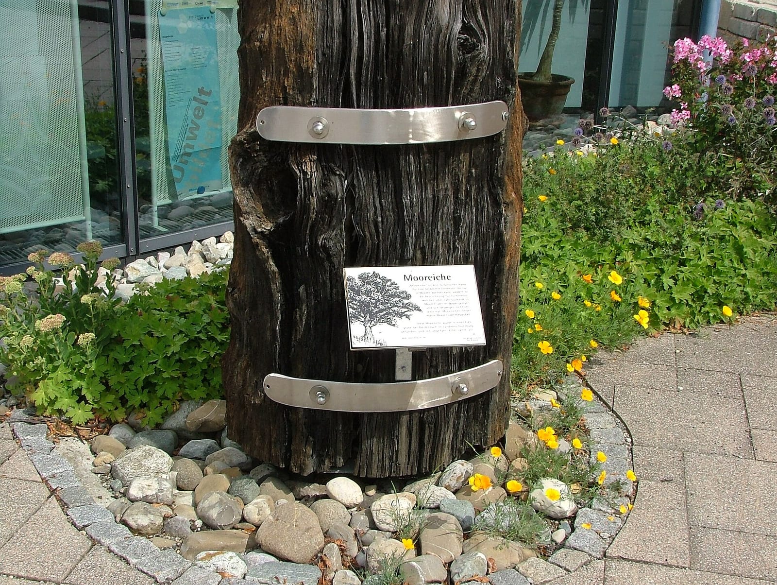 Café Hager