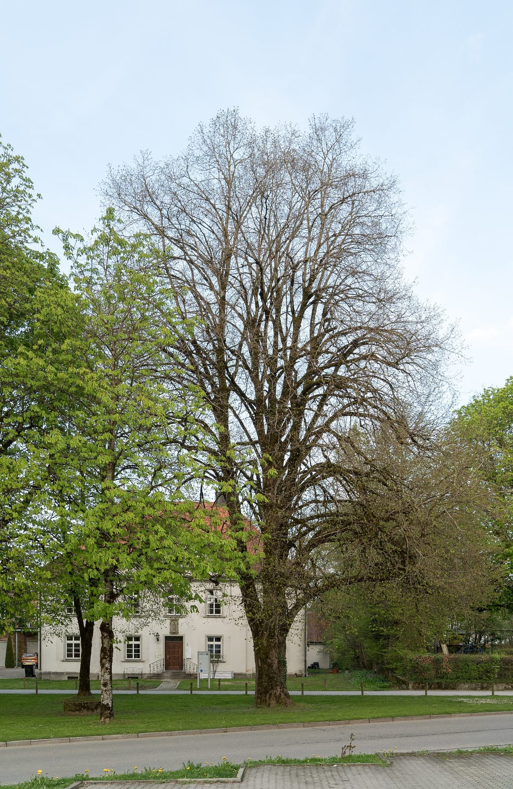 Landbäckerei Strang-Einhauser photo 3