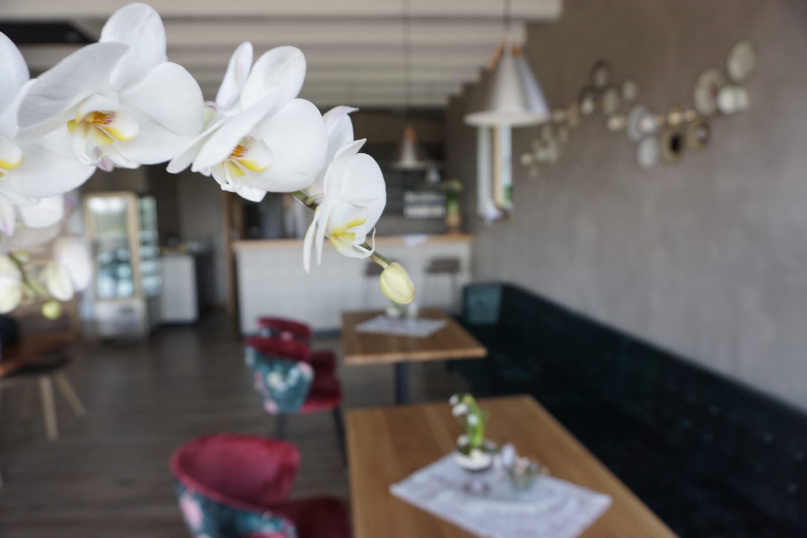 LandBlüte - Café und Vesperstube