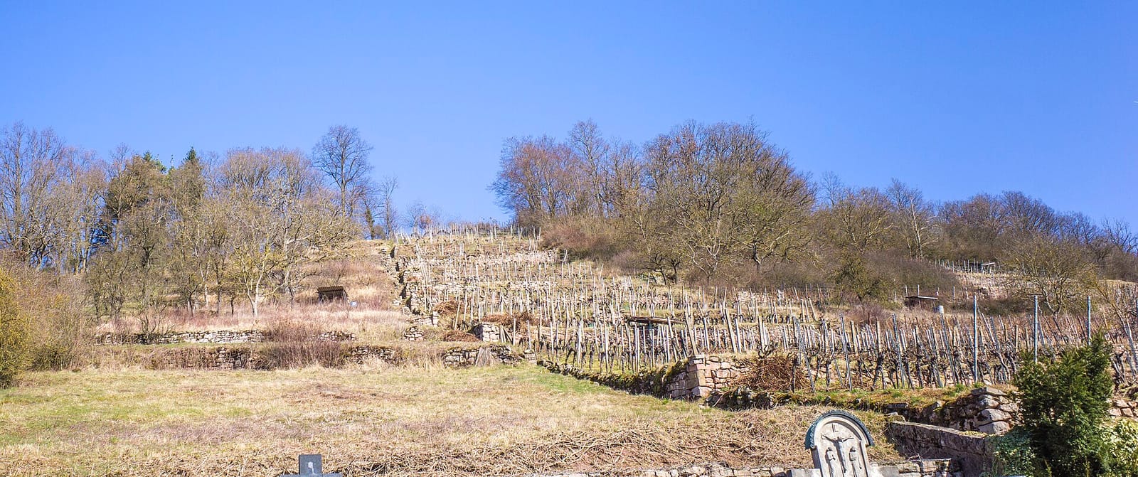 Alte Rose Gasthaus photo 2