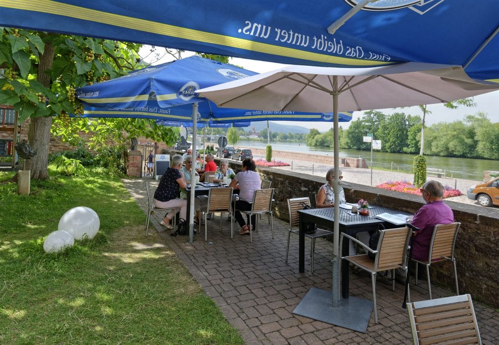 Café Ginkgo photo 3