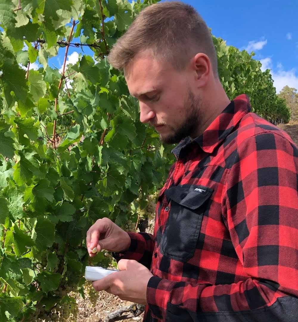 Weingut Baldauf , Vinothek und Weinbistro photo 5