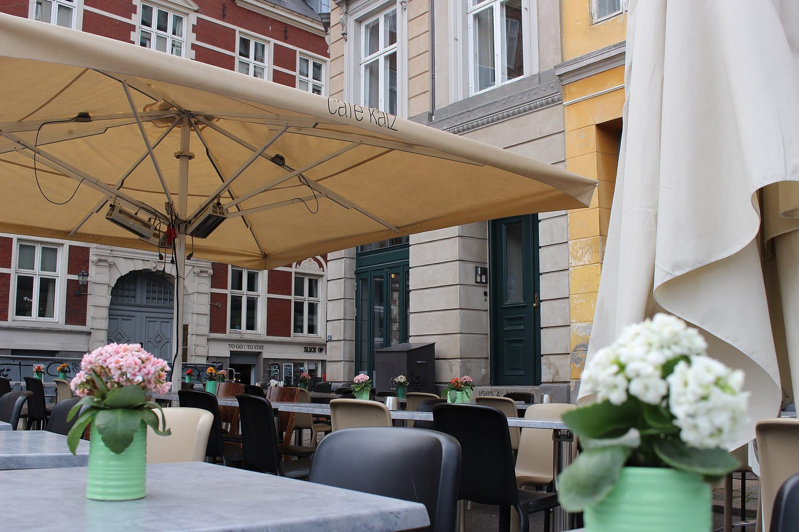 Cafe Katz