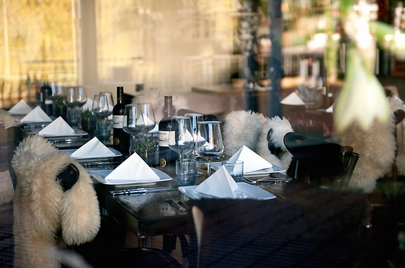 Café Klein photo 5