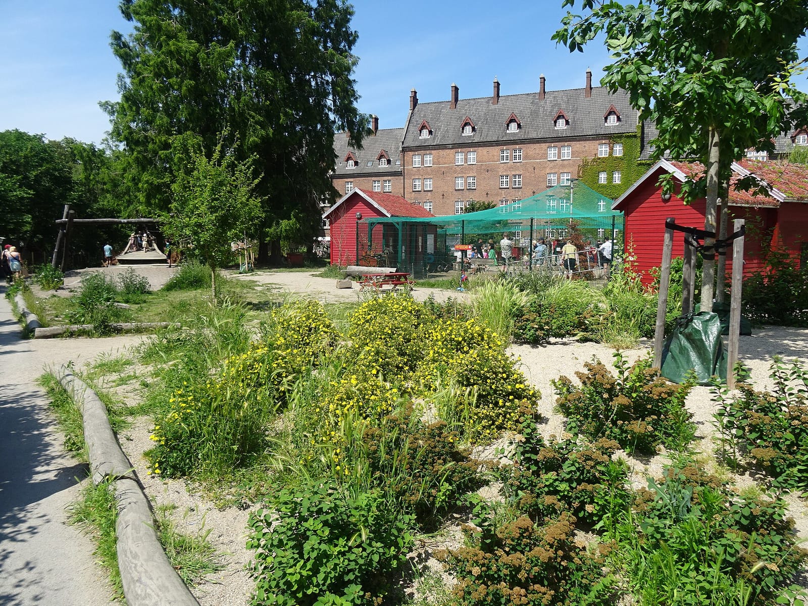 Mirabelle photo 2