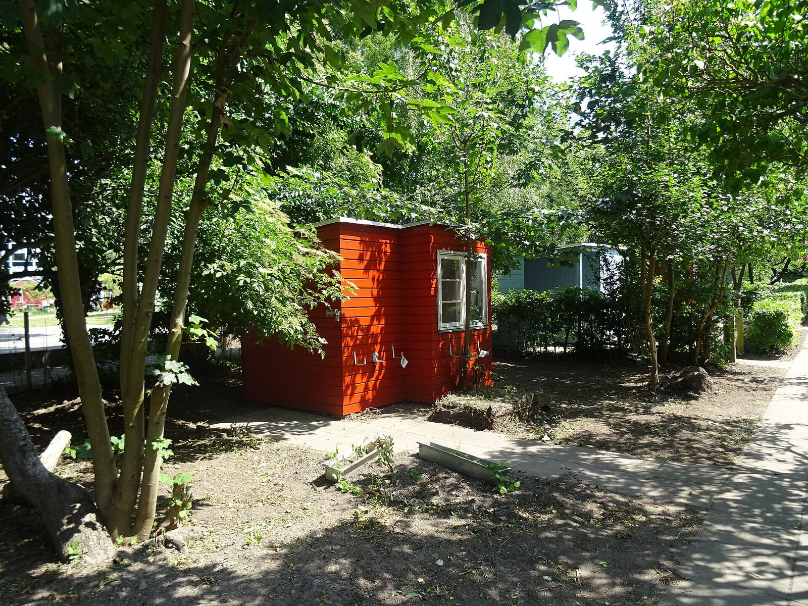 Mirabelle photo 3