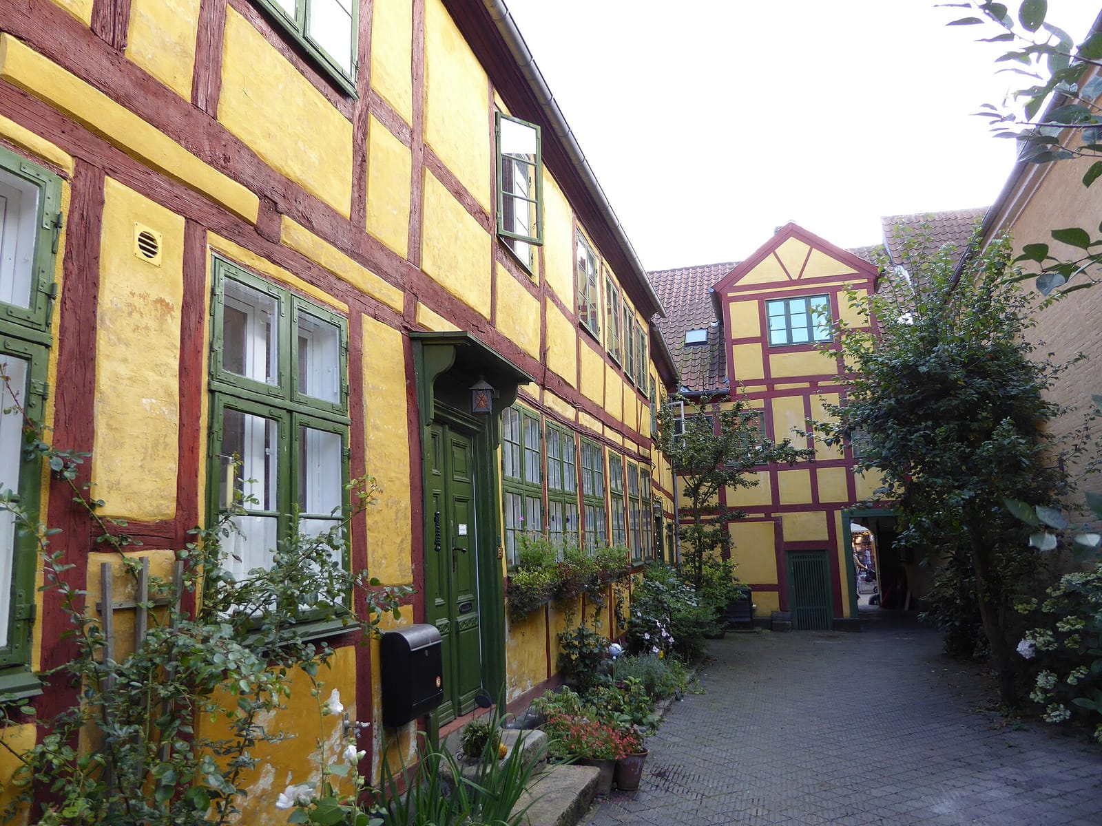 Café Kaiser photo 4