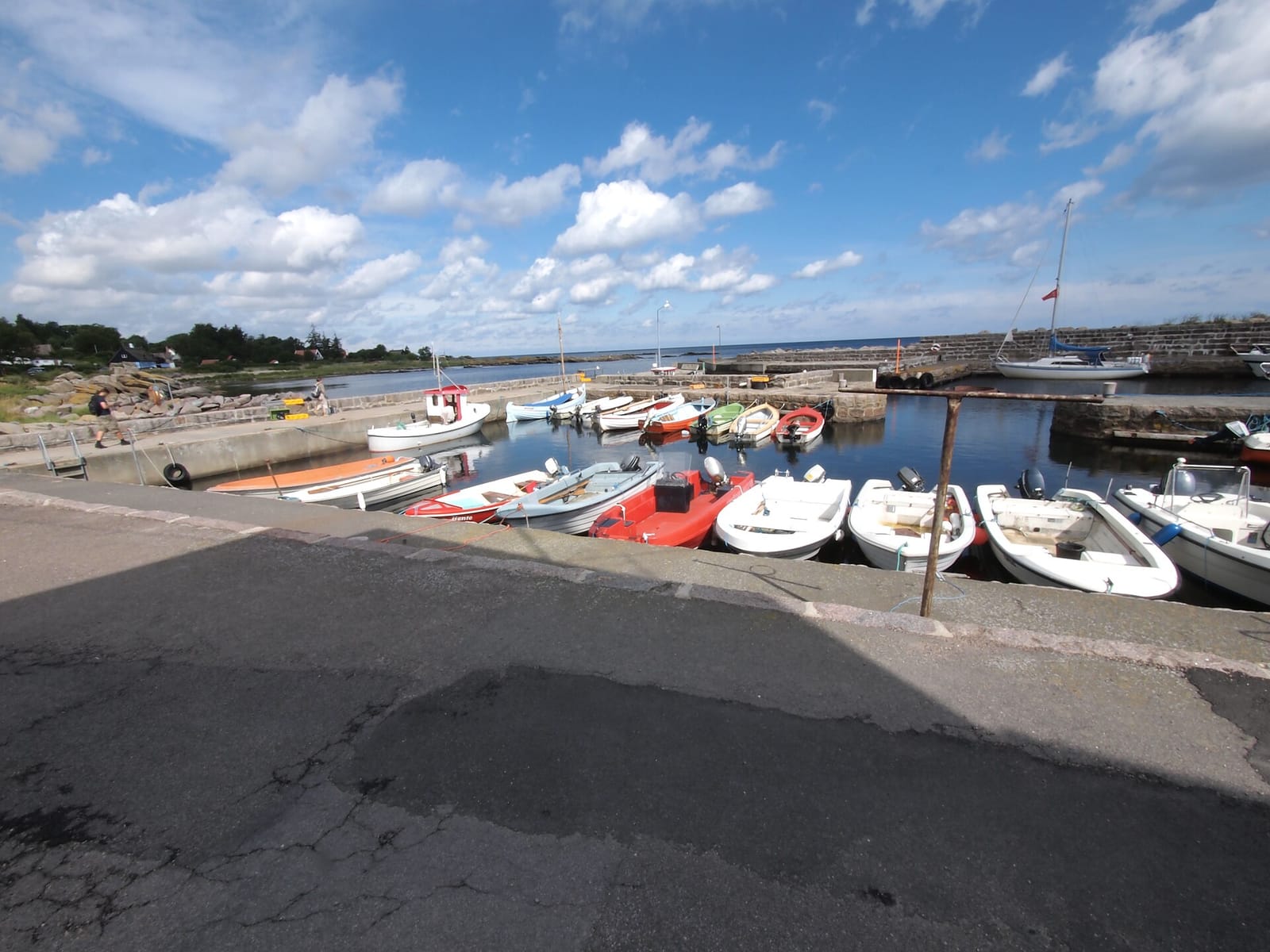 Bay Frost photo 3