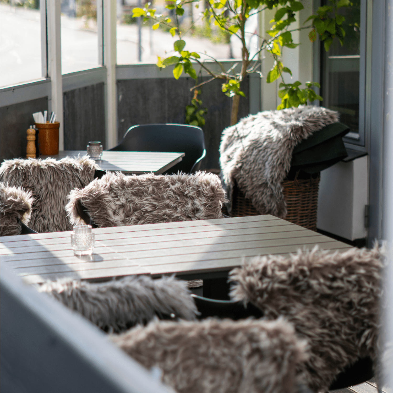 Cafe Svanen photo 3
