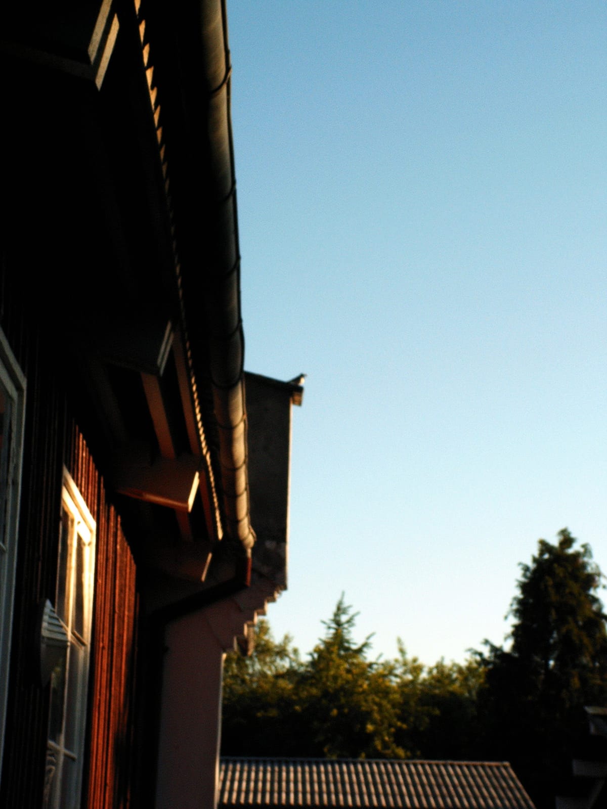 Stensbæk Skovcafé photo 4
