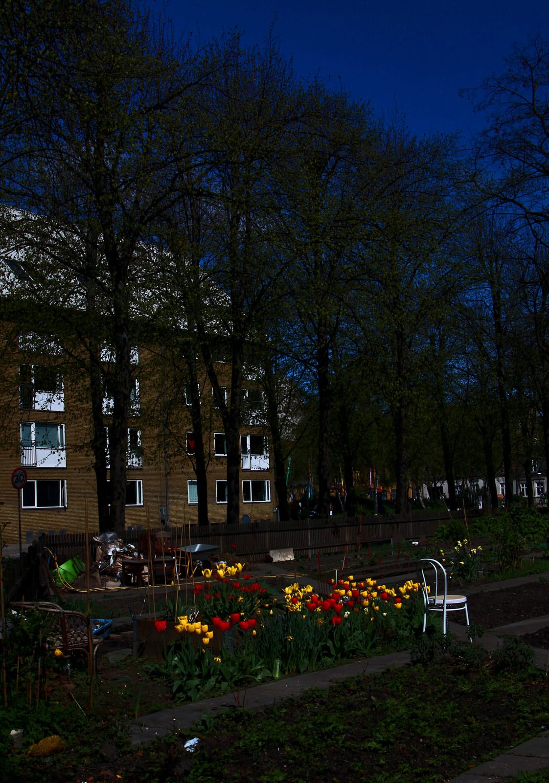 Folkets Cafe photo 4