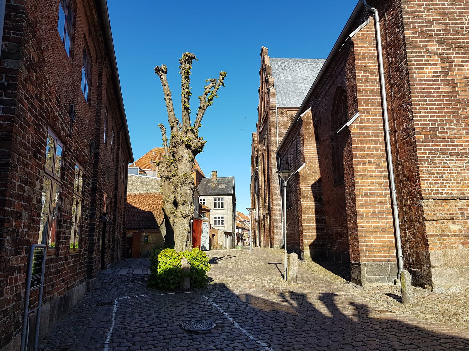 Søster Selvsving