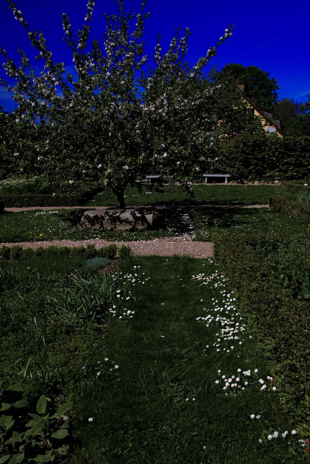 Møllecafeen photo 2