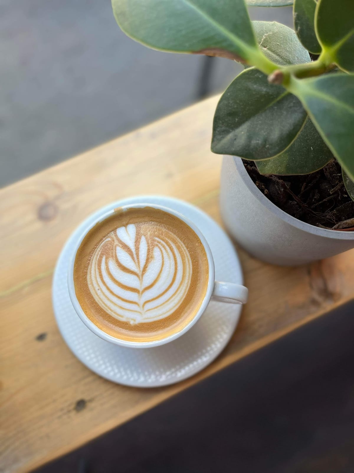 Kaffebaren Bredegade