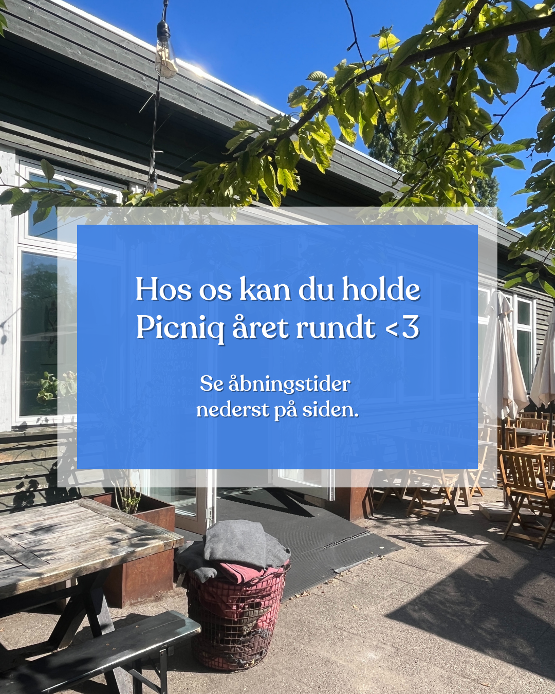 Picniq photo 3