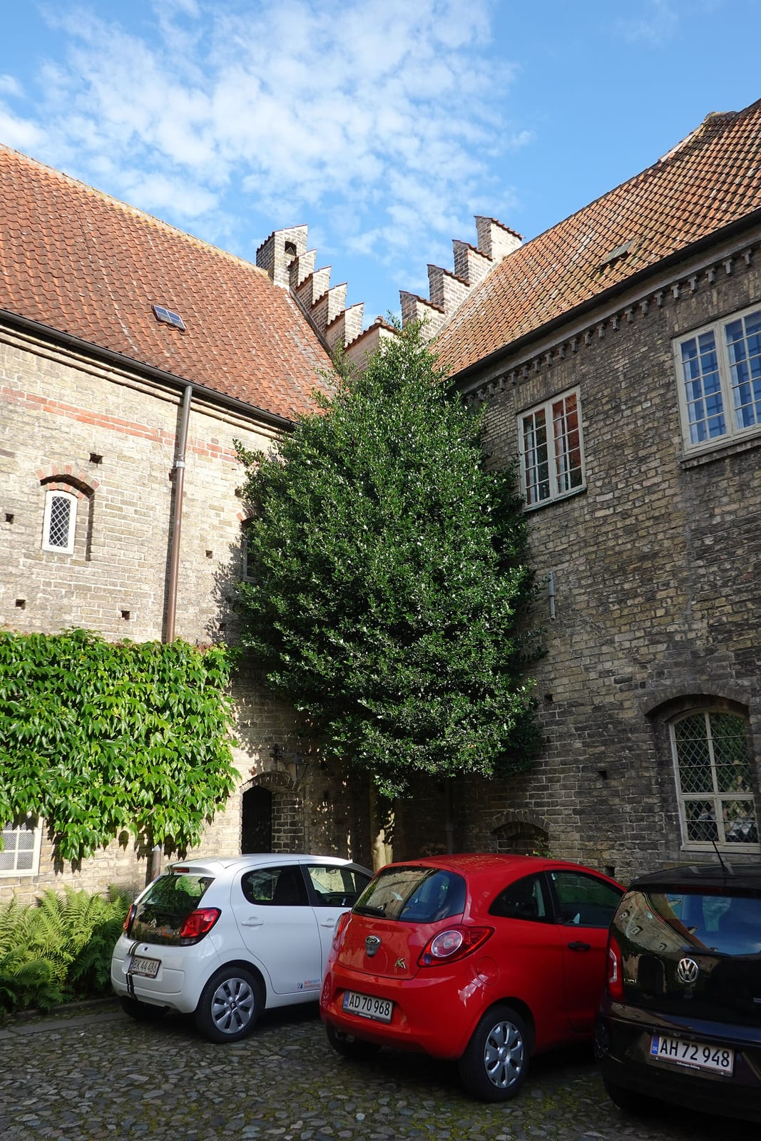 Kaffebaren Gravensgade photo 2