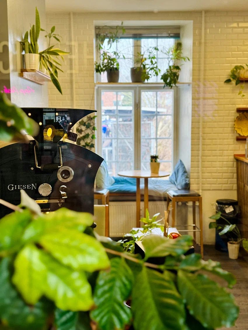 Impact Roasters photo 6