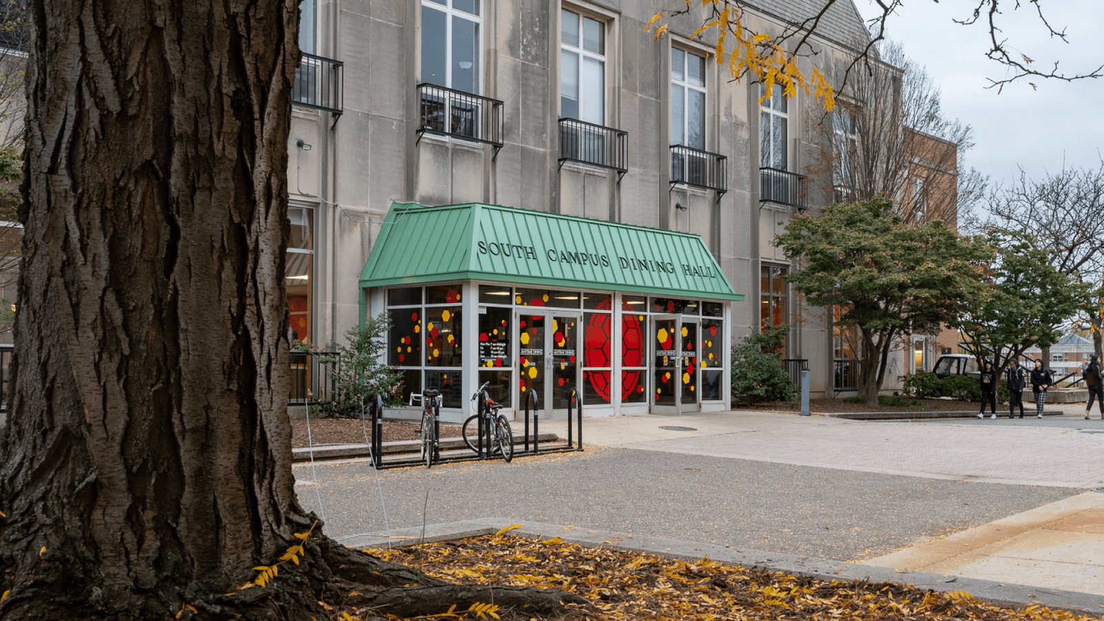 BRBean cafe photo 3
